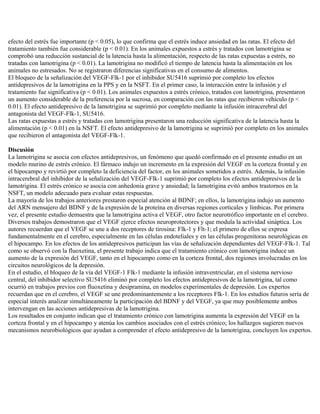 efecto del estrés fue importante (p < 0.05), lo que confirma que el estrés induce ansiedad en las ratas. El efecto del
tratamiento también fue considerable (p < 0.01). En los animales expuestos a estrés y tratados con lamotrigina se
comprobó una reducción sustancial de la latencia hasta la alimentación, respecto de las ratas expuestas a estrés, no
tratadas con lamotrigina (p < 0.01). La lamotrigina no modificó el tiempo de latencia hasta la alimentación en los
animales no estresados. No se registraron diferencias significativas en el consumo de alimentos.
El bloqueo de la señalización del VEGF-Flk-1 por el inhibidor SU5416 suprimió por completo los efectos
antidepresivos de la lamotrigina en la PPS y en la NSFT. En el primer caso, la interacción entre la infusión y el
tratamiento fue significativa (p < 0.01). Los animales expuestos a estrés crónico, tratados con lamotrigina, presentaron
un aumento considerable de la preferencia por la sucrosa, en comparación con las ratas que recibieron vehículo (p <
0.01). El efecto antidepresivo de la lamotrigina se suprimió por completo mediante la infusión intracerebral del
antagonista del VEGF-Flk-1, SU5416.
Las ratas expuestas a estrés y tratadas con lamotrigina presentaron una reducción significativa de la latencia hasta la
alimentación (p < 0.01) en la NSFT. El efecto antidepresivo de la lamotrigina se suprimió por completo en los animales
que recibieron el antagonista del VEGF-Flk-1.

Discusión
La lamotrigina se asocia con efectos antidepresivos, un fenómeno que quedó confirmado en el presente estudio en un
modelo murino de estrés crónico. El fármaco indujo un incremento en la expresión del VEGF en la corteza frontal y en
el hipocampo y revirtió por completo la deficiencia del factor, en los animales sometidos a estrés. Además, la infusión
intracerebral del inhibidor de la señalización del VEGF-Flk-1 suprimió por completo los efectos antidepresivos de la
lamotrigina. El estrés crónico se asocia con anhedonia grave y ansiedad; la lamotrigina evitó ambos trastornos en la
NSFT, un modelo adecuado para evaluar estas respuestas.
La mayoría de los trabajos anteriores prestaron especial atención al BDNF; en ellos, la lamotrigina indujo un aumento
del ARN mensajero del BDNF y de la expresión de la proteína en diversas regiones corticales y límbicas. Por primera
vez, el presente estudio demuestra que la lamotrigina activa el VEGF, otro factor neurotrófico importante en el cerebro.
Diversos trabajos demostraron que el VEGF ejerce efectos neuroprotectores y que modula la actividad sináptica. Los
autores recuerdan que el VEGF se une a dos receptores de tirosina: Flk-1 y Flt-1; el primero de ellos se expresa
fundamentalmente en el cerebro, especialmente en las células endoteliales y en las células progenitoras neurológicas en
el hipocampo. En los efectos de los antidepresivos participan las vías de señalización dependientes del VEGF-Flk-1. Tal
como se observó con la fluoxetina, el presente trabajo indica que el tratamiento crónico con lamotrigina induce un
aumento de la expresión del VEGF, tanto en el hipocampo como en la corteza frontal, dos regiones involucradas en los
circuitos neurológicos de la depresión.
En el estudio, el bloqueo de la vía del VEGF-1 Flk-1 mediante la infusión intraventricular, en el sistema nervioso
central, del inhibidor selectivo SU5416 eliminó por completo los efectos antidepresivos de la lamotrigina, tal como
ocurrió en trabajos previos con fluoxetina y desipramina, en modelos experimentales de depresión. Los expertos
recuerdan que en el cerebro, el VEGF se une predominantemente a los receptores Flk-1. En los estudios futuros sería de
especial interés analizar simultáneamente la participación del BDNF y del VEGF, ya que muy posiblemente ambos
intervengan en las acciones antidepresivas de la lamotrigina.
Los resultados en conjunto indican que el tratamiento crónico con lamotrigina aumenta la expresión del VEGF en la
corteza frontal y en el hipocampo y atenúa los cambios asociados con el estrés crónico; los hallazgos sugieren nuevos
mecanismos neurobiológicos que ayudan a comprender el efecto antidepresivo de la lamotrigina, concluyen los expertos.
 