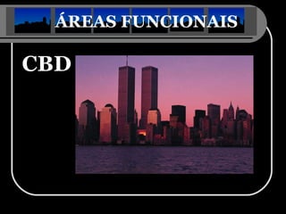 ÁREAS FUNCIONAIS   CBD 