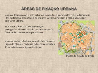 Assim a forma como o solo urbano é ocupado, o traçado das ruas, a disposição
dos edifícios, a localização de espaços verdes, originam a planta da cidade
ou planta urbana.

PLANTA URBANA: Representação
cartográfica de uma cidade em grande escala,
Com muito pormenor e pouca área.


A maioria das cidades apresenta dois ou mais
tipos de plantas, cada um deles corresponde a
Uma determinada época histórica.


                                                      Planta da cidade de Évora
 