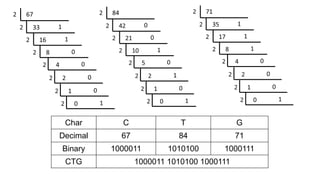 ASCII__American Standard Code for Information Interchange.pptx