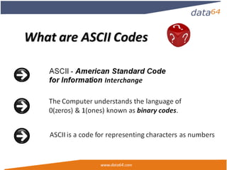 Ascii | PPT