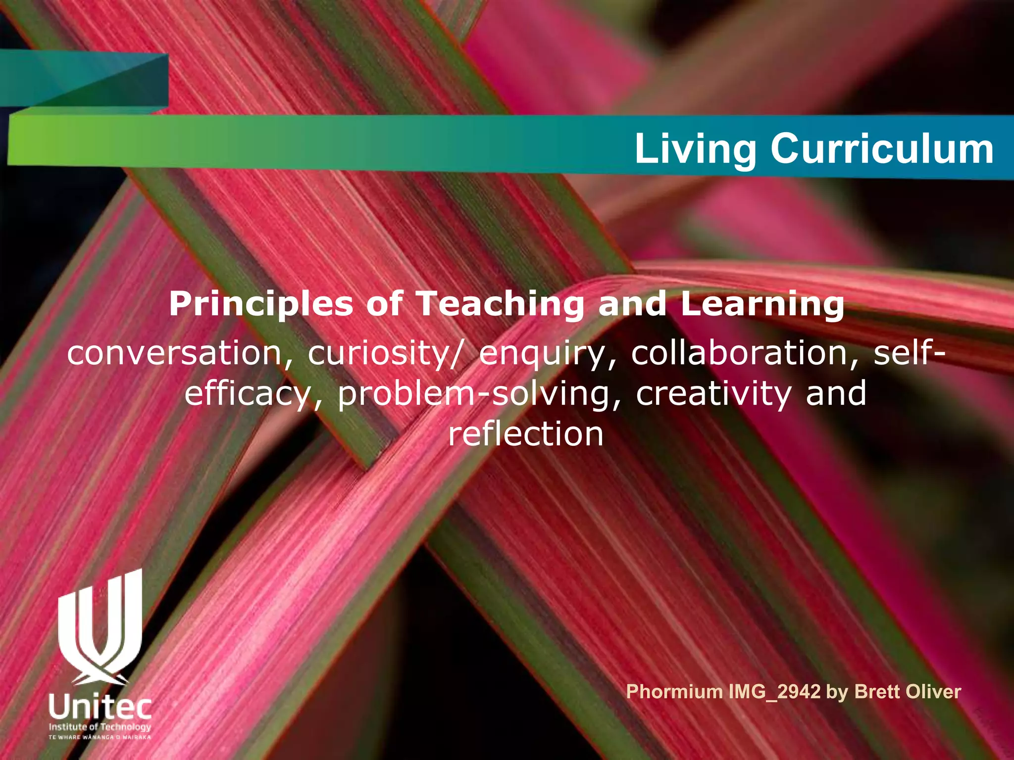 Living Curriculum


     Principles of Teaching and Learning
conversation, curiosity/ enquiry, collaboration, self-
      efficacy, problem-solving, creativity and
                       reflection




                                  Phormium IMG_2942 by Brett Oliver
 