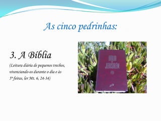 As cinco pedrinhas:
3. A Bíblia
(Leitura diária de pequenos trechos,
vivenciando-os durante o dia e às
5ª feiras, ler Mt. 6, 24-34)

 