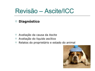 Revisão – Ascite/ICC Diagnóstico Avaliação da causa da Ascite Avaliação do liquido ascítico Relatos do proprietário e estado do animal 