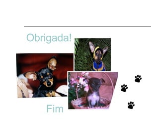 Obrigada! Fim 