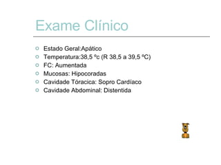 Exame Clínico   Estado Geral:Apático Temperatura:38,5 ºc (R 38,5 a 39,5 ºC) FC: Aumentada Mucosas: Hipocoradas Cavidade Tóracica: Sopro Cardíaco Cavidade Abdominal: Distentida 