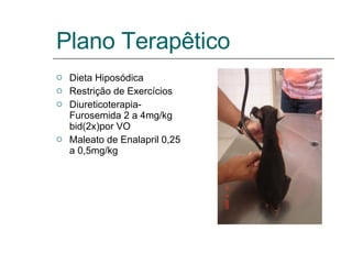 Plano Terapêtico Dieta Hiposódica Restrição de Exercícios Diureticoterapia- Furosemida 2 a 4mg/kg bid(2x)por VO Maleato de Enalapril 0,25 a 0,5mg/kg 