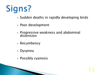  Sudden deaths in rapidly developing birds
 Poor development
 Progressive weakness and abdominal
distension
 Recumbency
 Dyspnea
 Possibly cyanosis
11
 
