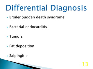  Broiler Sudden death syndrome
 Bacterial endocarditis
 Tumors
 Fat deposition
 Salpingitis
13
 