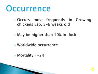  Occurs most frequently in Growing
chickens Esp. 5-6 weeks old
 May be higher than 10% in flock
 Worldwide occurrence
 Mortality 1-2%
6
 