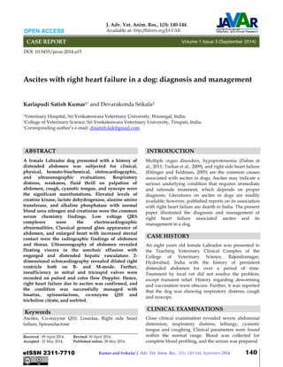 Kumar and Srikala/ J. Adv. Vet. Anim. Res., 1(3): 140-144, September 2014 140
Ascites with right heart failure in a dog: diagnosis and management
Karlapudi Satish Kumar1* and Devarakonda Srikala2
1Veterinary Hospital, Sri Venkateswara Veterinary University, Warangal, India;
2College of Veterinary Science, Sri Venkateswara Veterinary University, Tirupati, India.
*Corresponding author’s e-mail: drsatish.ksk@gmail.com
ABSTRACT
A female Labrador dog presented with a history of
distended abdomen was subjected for clinical,
physical, hemato-biochemical, eletrocardiographic,
and ultrasonographic evaluations. Respiratory
distress, weakness, fluid thrill on palpation of
abdomen, cough, cyanotic tongue, and syncope were
the significant manifestations. Elevated levels of
creatine kinase, lactate dehydrogenase, alanine amino
transferase, and alkaline phosphatase with normal
blood urea nitrogen and creatinine were the common
serum chemistry findings. Low voltage QRS
complexes were the electrocardiographic
abnormalities. Classical ground glass appearance of
abdomen, and enlarged heart with increased sternal
contact were the radiographic findings of abdomen
and thorax. Ultrasonography of abdomen revealed
floating viscera in the anechoic effusion with
engorged and distended hepatic vasculature. 2-
dimensional echocardiography revealed dilated right
ventricle both on B- and M-mode. Further,
insufficiency in mitral and tricuspid valves were
recorded on pulsed and color flow Doppler. Hence,
right heart failure due to ascites was confirmed, and
the condition was successfully managed with
losartas, spiranolactone, co-enzyme Q10 and
tricholine citrate, and sorbitol.
Keywords
Ascites, Co-enzyme Q10, Losartas, Right side heart
failure, Spiranolactone
Received : 09 April 2014, Revised: 30 April 2014,
Accepted : 21 May 2014, Published online: 28 May 2014.
INTRODUCTION
Multiple organ disorders, hypoprotenemia (Dabas et
al., 2011; Turkar et al., 2009), and right side heart failure
(Ettinger and Feldman, 2005) are the common causes
associated with ascites in dogs. Ascites may indicate a
serious underlying condition that requires immediate
and rationale treatment, which depends on proper
diagnosis. Literatures on ascites in dogs are readily
available; however, published reports on its association
with right heart failure are dearth in India. The present
paper illustrated the diagnosis and management of
right heart failure associated ascites and its
management in a dog.
CASE HISTORY
An eight years old female Labrador was presented to
the Teaching Veterinary Clinical Complex of the
College of Veterinary Science, Rajendranagar,
Hyderabad, India with the history of persistent
distended abdomen for over a period of time.
Treatment by local vet did not resolve the problem,
except transient relief. History regarding deworming
and vaccination were obscure. Further, it was reported
that the dog was showing respiratory distress, cough
and syncope.
CLINICAL EXAMINATIONS
Close clinical examination revealed severe abdominal
distension, respiratory distress, lethargy, cyanotic
tongue and coughing. Clinical parameters were found
within the normal range. Blood was collected for
complete blood profiling, and the serum was prepared
J. Adv. Vet. Anim. Res., 1(3): 140-144.
Available at- http://bdvets.org/JAVAR
CASE REPORT
OPEN ACCESS
DOI: 10.5455/javar.2014.a15
eISSN 2311-7710
Volume 1 Issue 3 (September 2014)
 