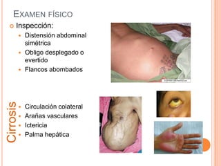 PalpaciónHepatomegaliaMayor consistencia hepatopatía crónicaDura pétrea neoplasiaDolorosa Insuf. Cardiaca der.Esplenomegalia HT portalTumores palpablesSigno de rebote peritonitis bacteriana espontáneaEdemaCirrosis con síndrome ascitico-edematosoInsuficiencia cardiacaPericarditis constrictivaSíndrome nefróticoBudd-Chiari crónicohipoalbuminemia