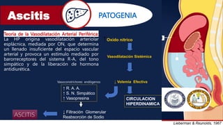 Ascitis PATOGENIA
Lieberman & Reynolds, 1967
Teoría de la Vasodilatación Arterial Periférica:
La HP origina vasodilatación arteriolar
esplácnica, mediada por ON, que determina
un llenado insuficiente del espacio vascular
arterial y provoca un estímulo mediado por
barorreceptores del sistema R-A, del tono
simpático y de la liberación de hormona
antidiurética.
Oxido nitrico
Vasodilatación Sistémica
↓ Volemia Efectiva
CIRCULACION
HIPERDINAMICA
↑ R. A. A.
↑ S. N. Simpático
↑ Vasopresina
↓ Filtración Glomerular
Reabsorción de Sodio
ASCITIS
Vasoconstrictores endógenos
 