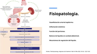 Fisiopatologia.
Vasodilatación arterial esplácnica
Inflamación sistémica
Función del peritoneo.
Balance de líquidos en cavidad abdominal.
Mecanismos de regulación del líquido.
Ascites: Pathophysiology, diagnosis and treatment. Med Int Méx 2022; 38 (6): 1223-1232.
 