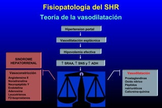 Hipertension portal
Vasodilatación esplácnica
Hipovolemia efectiva
↑ SRAA, ↑ SNS y ↑ ADH
Vasoconstricción renal
↑ Actividad de sustancias
vasodilatadoras renales
Vasoconstricción
Angiotensina II
Noradrenalina
Neuropéptido Y
Endotelina
Adenosina
Leucotrienos
F2-Isoprostanos
Vasodilatación
Prostaglandinas
Oxido nítrico
Péptidos
natriuréticos
Calicreína-quinina
SINDROME
HEPATORRENAL
Fisiopatología del SHR
Teoría de la vasodilatación
 