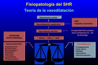 Hipertension portal
Vasodilatación esplácnica
Hipovolemia efectiva
↑ SRAA, ↑ SNS y ↑ ADH
Vasoconstricción renal
↑ Actividad de sustancias
vasodilatadoras renales
Vasoconstricción
Angiotensina II
Noradrenalina
Neuropéptido Y
Endotelina
Adenosina
Leucotrienos
F2-Isoprostanos
Vasodilatación
Prostaglandinas
Oxido nítrico
Péptidos
natriuréticos
Calicreína-quinina
- PBE
- Hepatitis alcohólica
Fisiopatología del SHR
Teoría de la vasodilatación
Incapacidad del corazón
para compensar la ↓ de
la precargaSINDROME
HEPATORRENAL
 