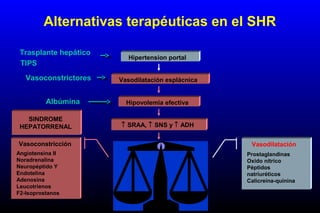 Hipertension portal
Vasodilatación esplácnica
Hipovolemia efectiva
↑ SRAA, ↑ SNS y ↑ ADH
Vasoconstricción renal
↑ Actividad de sustancias
vasodilatadoras renales
Vasoconstricción
Angiotensina II
Noradrenalina
Neuropéptido Y
Endotelina
Adenosina
Leucotrienos
F2-Isoprostanos
Vasodilatación
Prostaglandinas
Oxido nítrico
Péptidos
natriuréticos
Calicreína-quinina
SINDROME
HEPATORRENAL
Alternativas terapéuticas en el SHR
Trasplante hepático
TIPS
Vasoconstrictores
Albúmina
 