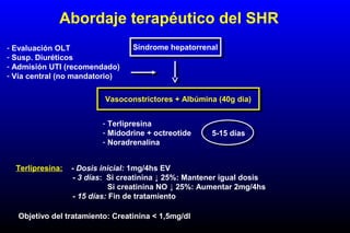 Sindrome hepatorrenal
Vasoconstrictores + Albúmina (40g dia)
- Terlipresina
- Midodrine + octreotide
- Noradrenalina
5-15 días
Terlipresina: - Dosis inicial: 1mg/4hs EV
- 3 días: Si creatinina ↓ 25%: Mantener igual dosis
Si creatinina NO ↓ 25%: Aumentar 2mg/4hs
- 15 días: Fin de tratamiento
Objetivo del tratamiento: Creatinina < 1,5mg/dl
Abordaje terapéutico del SHR
- Evaluación OLT
- Susp. Diuréticos
- Admisión UTI (recomendado)
- Vía central (no mandatorio)
 