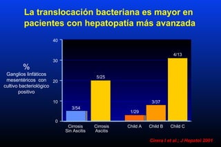 La translocación bacteriana es mayor en
pacientes con hepatopatía más avanzada
%
Ganglios linfáticos
mesentéricos con
cultivo bacteriológico
positivo
Cirrosis
Sin Ascitis
3/54
5/25
4/13
Cirrosis
Ascitis
Child BChild A Child C
1/29
3/37
40
30
20
10
0
Cirera I et al.; J Hepatol 2001
 