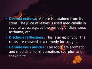 Ascleipadiacaea | PPT