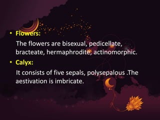 • Flowers:
The flowers are bisexual, pedicellate,
bracteate, hermaphrodite, actinomorphic.
• Calyx:
It consists of five sepals, polysepalous .The
aestivation is imbricate.
 