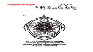 Floral formula and Diagram
Br
 