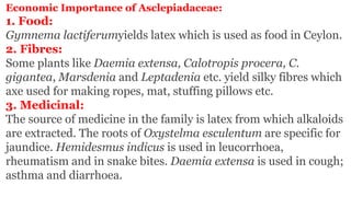 Economic Importance of Asclepiadaceae:
1. Food:
Gymnema lactiferumyields latex which is used as food in Ceylon.
2. Fibres:
Some plants like Daemia extensa, Calotropis procera, C.
gigantea, Marsdenia and Leptadenia etc. yield silky fibres which
axe used for making ropes, mat, stuffing pillows etc.
3. Medicinal:
The source of medicine in the family is latex from which alkaloids
are extracted. The roots of Oxystelma esculentum are specific for
jaundice. Hemidesmus indicus is used in leucorrhoea,
rheumatism and in snake bites. Daemia extensa is used in cough;
asthma and diarrhoea.
 