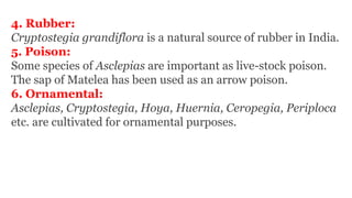 4. Rubber:
Cryptostegia grandiflora is a natural source of rubber in India.
5. Poison:
Some species of Asclepias are important as live-stock poison.
The sap of Matelea has been used as an arrow poison.
6. Ornamental:
Asclepias, Cryptostegia, Hoya, Huernia, Ceropegia, Periploca
etc. are cultivated for ornamental purposes.
 