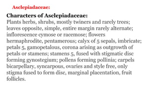 Asclepiadaceae:
Characters of Asclepiadaceae:
Plants herbs, shrubs, mostly twiners and rarely trees;
leaves opposite, simple, entire margin rarely alternate;
inflorescence cymose or racemose; flowers
hermaphrodite, pentamerous; calyx of 5 sepals, imbricate;
petals 5, gamopetalous, corona arising as outgrowth of
petals or stamens; stamens 5, fused with stigmatic disc
forming gynostegium; pollens forming pollinia; carpels
bicarpellary, syncarpous, ovaries and style free, only
stigma fused to form disc, marginal placentation, fruit
follicles.
 