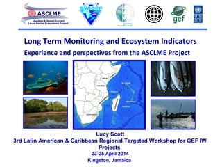 Long Term Monitoring and Ecosystem Indicators
Experience and perspectives from the ASCLME Project
ASCLME
Agulhas & Somali Current
Large Marine Ecosystems Project
Lucy Scott
3rd Latin American & Caribbean Regional Targeted Workshop for GEF IW
Projects
23-25 April 2014
Kingston, Jamaica
 