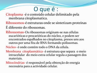O que é :
Citoplasma -é o conteúdo celular delimitado pela
menbrana citoplasmatica.
Ribossomos-é estruturas onde se sintetizam proteínas
É diferente do ribossomas.
Ribossomas-Os ribossomas originam-se nas células
eucarióticas e procarióticas do núcleo, e podem ser
encontrados espalhados no citoplasma, presos uns aos
outros por uma fita de RNA formando polissomas.
Núcleo- é onde contém todo o DNA da célula.
Membrana citoplasmática- é estrutura que separa o meio
intracelular do meio extra celular regula a passagem dos
materiais.
Mitocôndrias- é responsável pela obtenção de energia
necessária para a actividade celular.
 