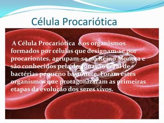 Célula Procariótica
A Célula Procariótica é os organismos
formados por células que designam-se por
procariontes, agrupam-se no Reino Monera e
são conhecidos pela designação geral de
bactérias pequeno bastonete. Foram estes
organismos que protagonizaram as primeiras
etapas da evolução dos seres vivos.
 