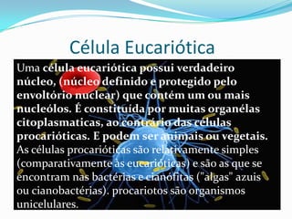 Célula Eucariótica
Uma célula eucariótica possui verdadeiro
núcleo, (núcleo definido e protegido pelo
envoltório nuclear) que contém um ou mais
nucleólos. É constituída por muitas organélas
citoplasmaticas, ao contrário das células
procarióticas. E podem ser animais ou vegetais.
As células procarióticas são relativamente simples
(comparativamente às eucarióticas) e são as que se
encontram nas bactérias e cianófitas ("algas" azuis
ou cianobactérias). procariotos são organismos
unicelulares.
 
