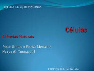 Ciências Naturais
Vítor Santos e Patrick Monteiro
N: 23 e 18 Turma: 7ºH
ESCOLA E.B. 2/3 DE VIALONGA
PROFESSORA: Emília Silva
 