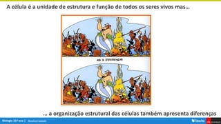 Biodiversidade
A célula é a unidade de estrutura e função de todos os seres vivos mas…
… a organização estrutural das células também apresenta diferenças
 