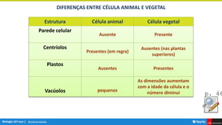Biodiversidade
Estrutura Célula animal Célula vegetal
Parede celular
Ausente Presente
Centríolos
Presentes (em regra)
Ausentes (nas plantas
superiores)
Plastos
Ausentes Presentes
Vacúolos pequenos
As dimensões aumentam
com a idade da célula e o
número diminui
DIFERENÇAS ENTRE CÉLULA ANIMAL E VEGETAL
p. 46
 
