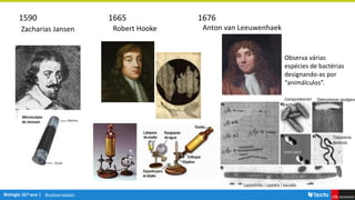 Biodiversidade
1590 1665 1676
Zacharias Jansen Robert Hooke Anton van Leeuwenhaek
Campylobacter
rectus
Selenomonas sputigena
oral cocci
Treponema
denticola
Leptotrichia ( Leptotrix ) buccalis
Observa várias
espécies de bactérias
designando-as por
“animálculos”.
 