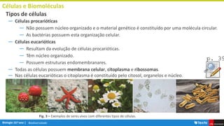 Biodiversidade
― Células procarióticas
― Não possuem núcleo organizado e o material genético é constituído por uma molécula circular.
― As bactérias possuem esta organização celular.
― Células eucarióticas
― Resultam da evolução de células procarióticas.
― Têm núcleo organizado.
― Possuem estruturas endomembranares.
― Todas as células possuem membrana celular, citoplasma e ribossomas.
― Nas células eucarióticas o citoplasma é constituído pelo citosol, organelos e núcleo.
Células e Biomoléculas
Tipos de células
Fig. 3 – Exemplos de seres vivos com diferentes tipos de células.
p. 39
 