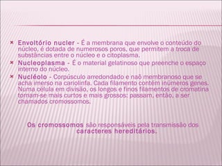 Envoltório nucler -  É a membrana que envolve o conteúdo do núcleo, é dotada de numerosos poros, que permitem a troca de substâncias entre o núcleo e o citoplasma.  Nucleoplasma -  É o material gelatinoso que preenche o espaço interno do núcleo. Nucléolo -  Corpúsculo arredondado e naõ membranoso que se acha imerso na cariolinfa. Cada filamento contém inúmeros genes. Numa célula em divisão, os longos e finos filamentos de cromatina tornam-se mais curtos e mais grossos: passam, então, a ser chamados cromossomos. Os cromossomos  são responsáveis pela transmissão dos  caracteres hereditários. 