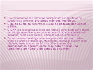 Os cromossomos são formados basicamente por dois tipos de substâncias químicas:  proteínas  e  ácidos nucléicos .  O ácido nucléico  encontrado é o  ácido desoxirribonucléico – o DNA.  O DNA  é a substância química que forma o gene. Cada gene possui um código específico, que controlar determinada característica do indivíduo: como a cor da pele, o tipo de cabelo, a altura, etc. Cada cromossomo abriga inúmeros genes, dispostos em ordem linear ao longo de filamentos. Atualmente, estima-se que em cada célula humana existam de 20 mil a 25 mil genes.  Os cromossomos diferem entre si quanto à forma, ao tamanho e ao número de genes que contêm. 
