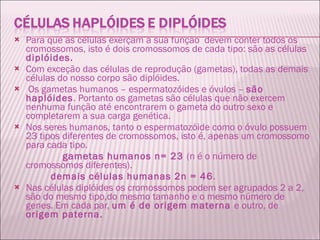 Para que as células exerçam a sua função  devem conter todos os cromossomos, isto é dois cromossomos de cada tipo: são as células  diplóides.  Com exceção das células de reprodução (gametas), todas as demais células do nosso corpo são diplóides.  Os gametas humanos – espermatozóides e óvulos –  são haplóides . Portanto os gametas são células que não exercem nenhuma função até encontrarem o gameta do outro sexo e completarem a sua carga genética. Nos seres humanos, tanto o espermatozóide como o óvulo possuem 23 tipos diferentes de cromossomos, isto é, apenas um cromossomo para cada tipo.  gametas humanos n= 23  (n é o número de cromossomos diferentes).  demais células humanas 2n = 46 .   Nas células diplóides os cromossomos podem ser agrupados 2 a 2, são do mesmo tipo,do mesmo tamanho e o mesmo número de genes. Em cada par,  um é de origem materna  e outro, de  origem paterna. 