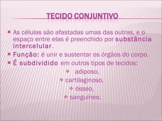 As células são afastadas umas das outras, e o espaço entre elas é preenchido por  substância intercelular . Função:  é unir e sustentar os órgãos do corpo. É subdividido  em outros tipos de tecidos: adiposo, cartilaginoso,  ósseo,  sanguíneo. 
