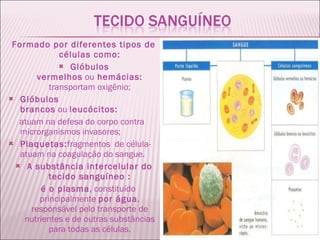 Formado por diferentes tipos de células como: Glóbulos vermelhos  ou  hemácias:  transportam oxigênio; Glóbulos brancos  ou  leucócitos: atuam na defesa do corpo contra microrganismos invasores; Plaquetas: fragmentos  de célula-  atuam na coagulação do sangue. A substância intercelular do tecido sanguíneo : é o plasma , constituído principalmente  por água , responsável pelo transporte de nutrientes e de outras substâncias para todas as células. 