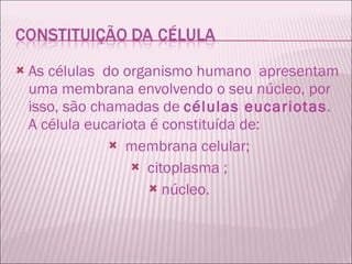 As células  do organismo humano  apresentam uma membrana envolvendo o seu núcleo, por isso, são chamadas de  células eucariotas . A célula eucariota é constituída de: membrana celular; citoplasma ; núcleo. 