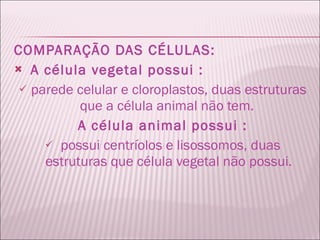 COMPARAÇÃO DAS CÉLULAS: A célula vegetal possui : parede celular e cloroplastos, duas estruturas que a célula animal não tem.  A célula animal possui : possui centríolos e lisossomos, duas estruturas que célula vegetal não possui. 