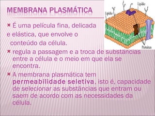 É uma película fina, delicada  e elástica, que envolve o  conteúdo da célula. regula a passagem e a troca de substâncias entre a célula e o meio em que ela se encontra. A membrana plasmática tem  permeabilidade   seletiva , isto é, capacidade de selecionar as substâncias que entram ou saem de acordo com as necessidades da célula. 