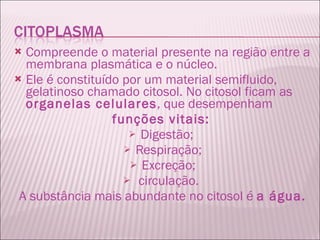 Compreende o material presente na região entre a membrana plasmática e o núcleo. Ele é constituído por um material semifluido, gelatinoso chamado citosol. No citosol ficam as  organelas celulares , que desempenham  funções vitais:   Digestão;  Respiração; Excreção; circulação.  A substância mais abundante no citosol é  a água. 