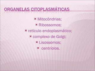 Mitocôndrias;  Ribossomos; retículo endoplasmático; complexo de Golgi;  Lisossomos; centríolos. 