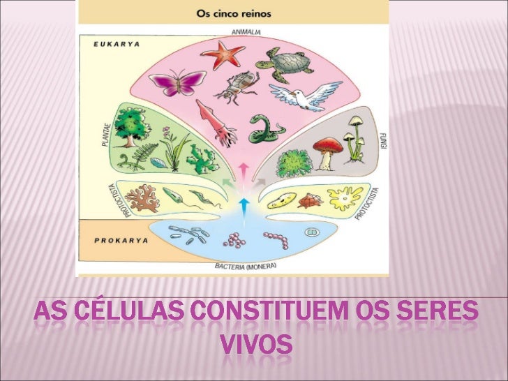 Analise As Afirmações Abaixo Referentes Aos Seres Vivos
