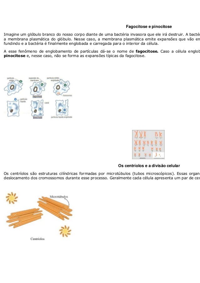 A membrana plasmatica apresenta uma propriedade tipica